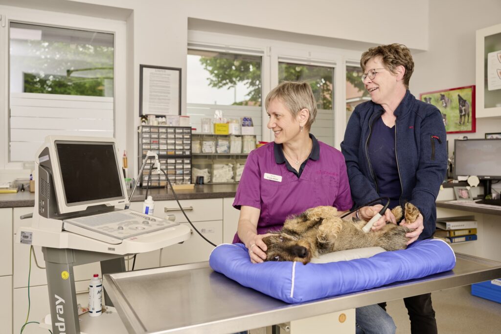 45-Ultraschalluntersuchung-Tierarztpraxis-Friedeburg Tierärztin und Helferin am Behandlungstisch. Ultraschalluntersuchung beim Hund.