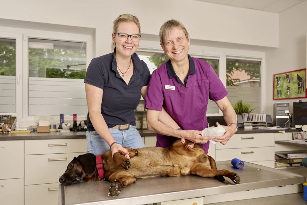 46-Tierärztin-und-TFA-mit-Hund-schauen-in-Kamera-Tierarztpraxis-Friedeburg Hund auf Behandlungstisch. Tierärztin und TFA schauen in Kamera.