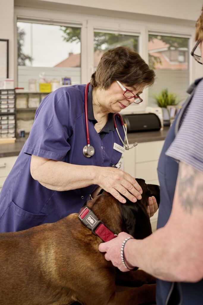 55-Tieraerztin-untersucht-Hund-Tierarztpraxis-Friedeburg Allgemeinuntersuchung Tierärztin beim Hund
